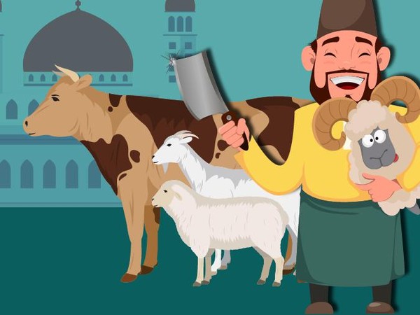 hukum berqurban menurut para ulama